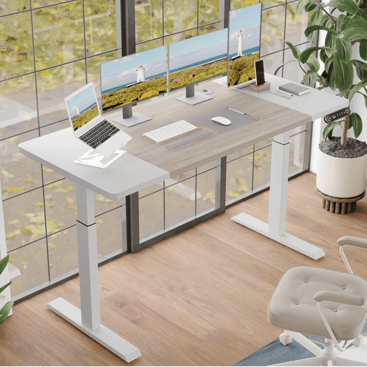 MXTARK Electric Adjustable Standing Desk, 63x30 inch, Work or Sit - Ergonomic Office Table (White+Oak)